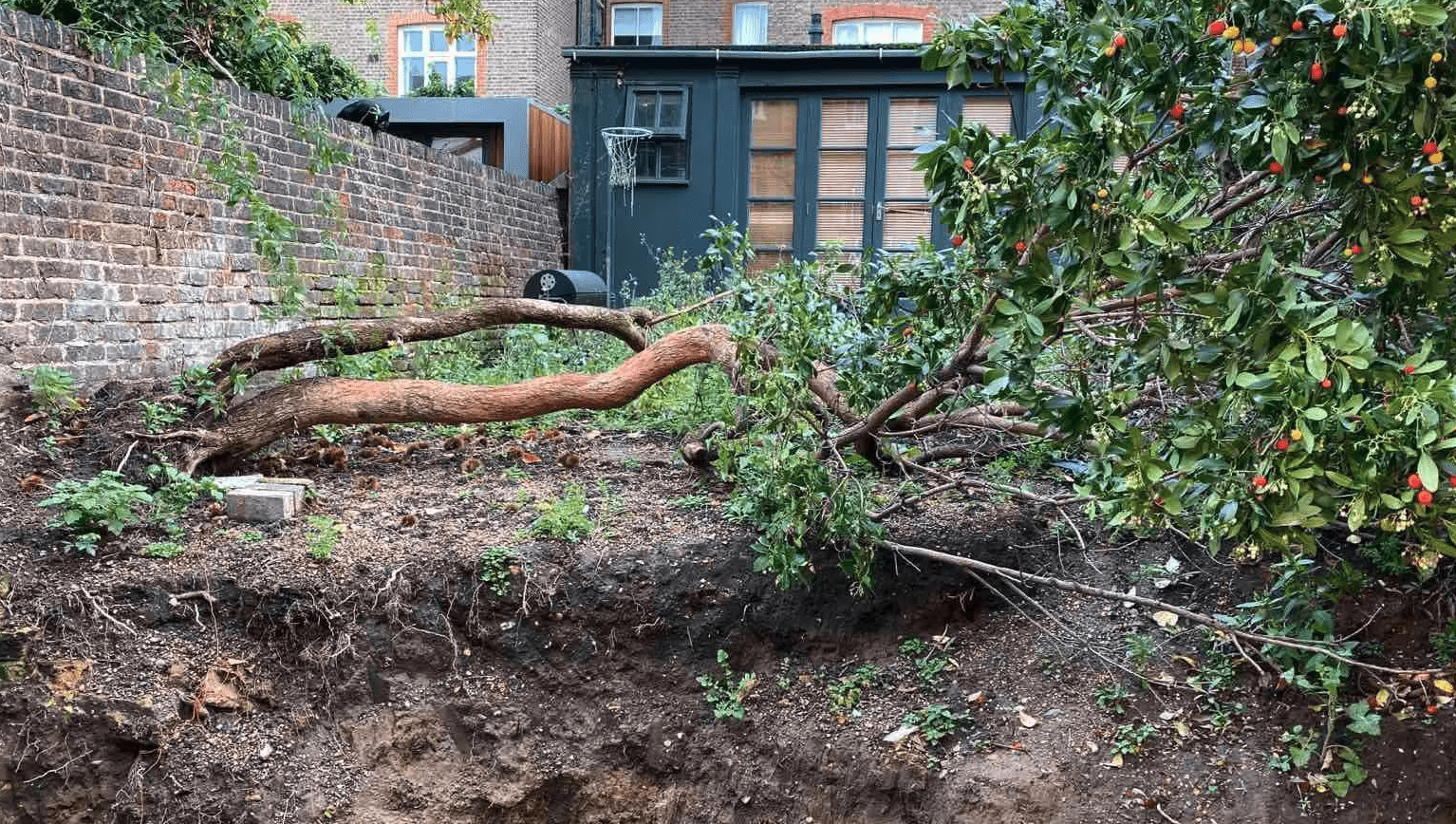 Completed garden by SW London Landscaping